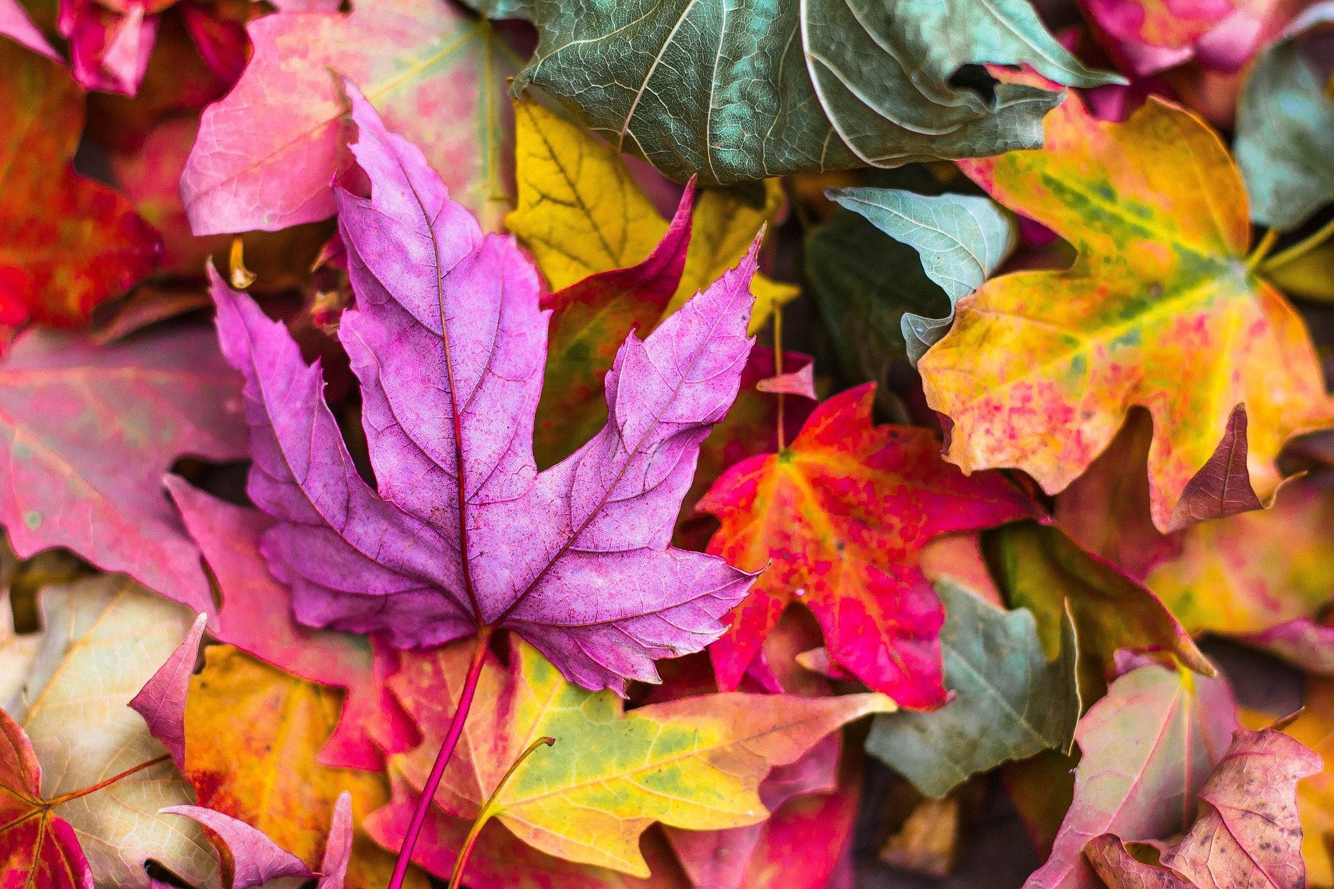 6 Activities to Help You Find Grounding & Connection This Fall