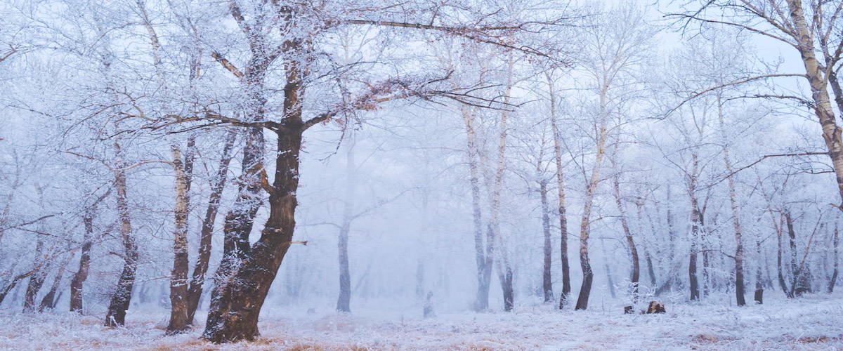 6 Crystals for Celebrating Winter Solstice