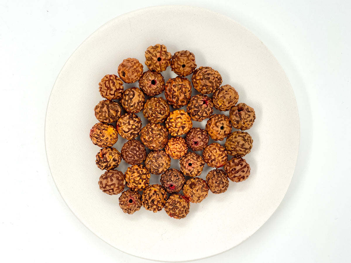 Rudraksha Seed Guru Beads